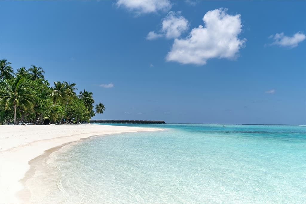 Air France : combien de Miles pour voler en Martinique ou en Guadeloupe ?