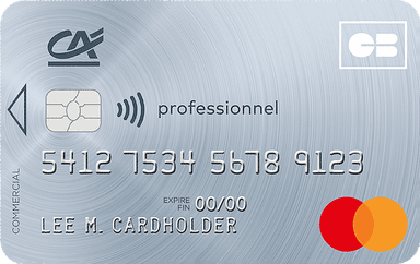Carte Mastercard Professionnel Crédit Agricole, gris argenté, logos CB et Mastercard