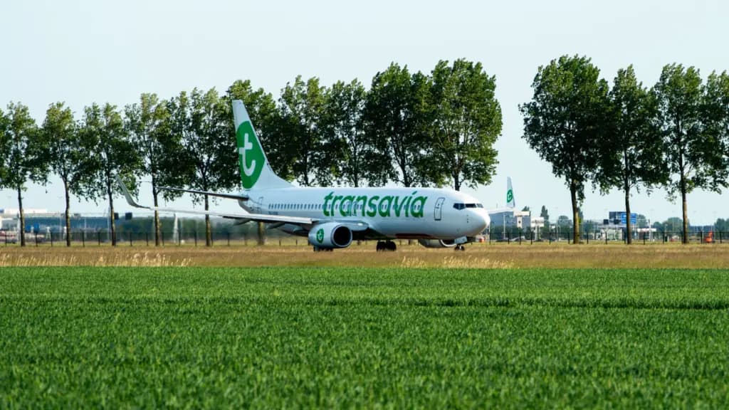 Transavia Flying Blue : comment gagner des Miles et des XP ?