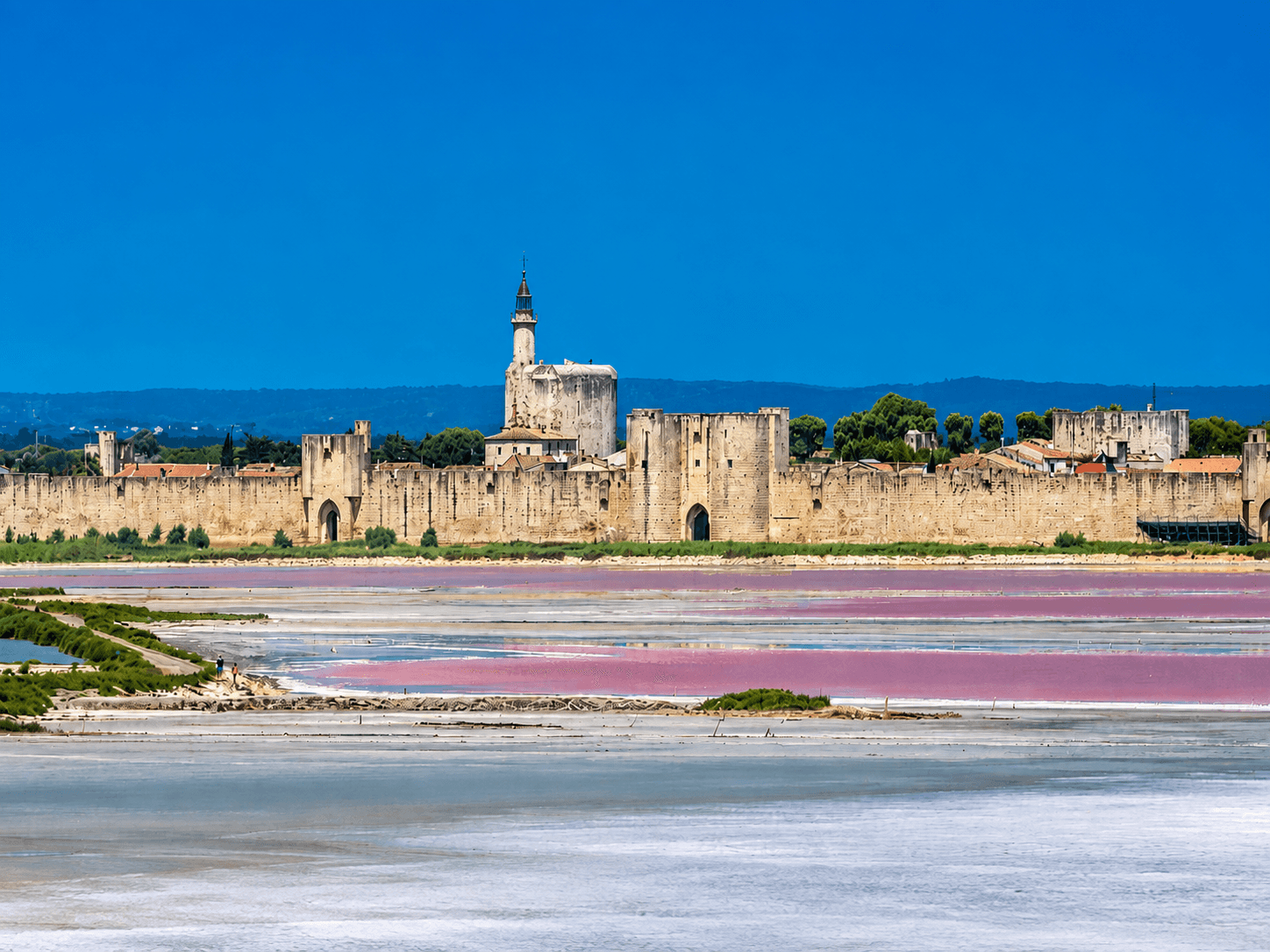 Que faire en Camargue : les 10 activités à faire