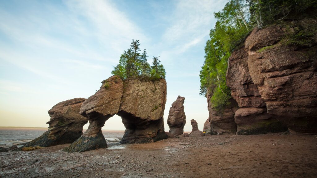 Hopewell-Rocks-Provincial-Park