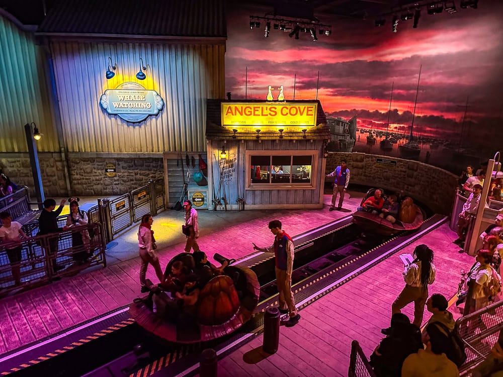 Disneyland-Walt-Disney-Studios-Paris-Crush-s-Coaster