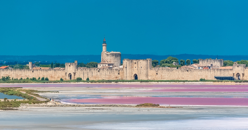 Camargue