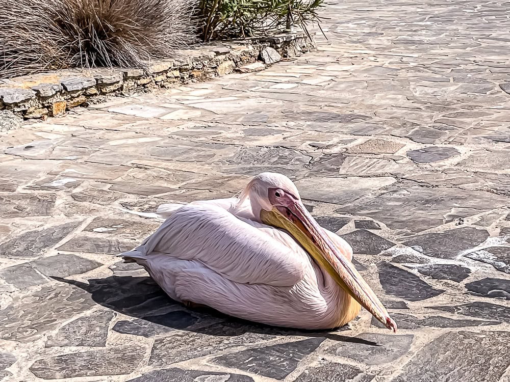 Mykonos Theoxenia, a member of Design Hotels