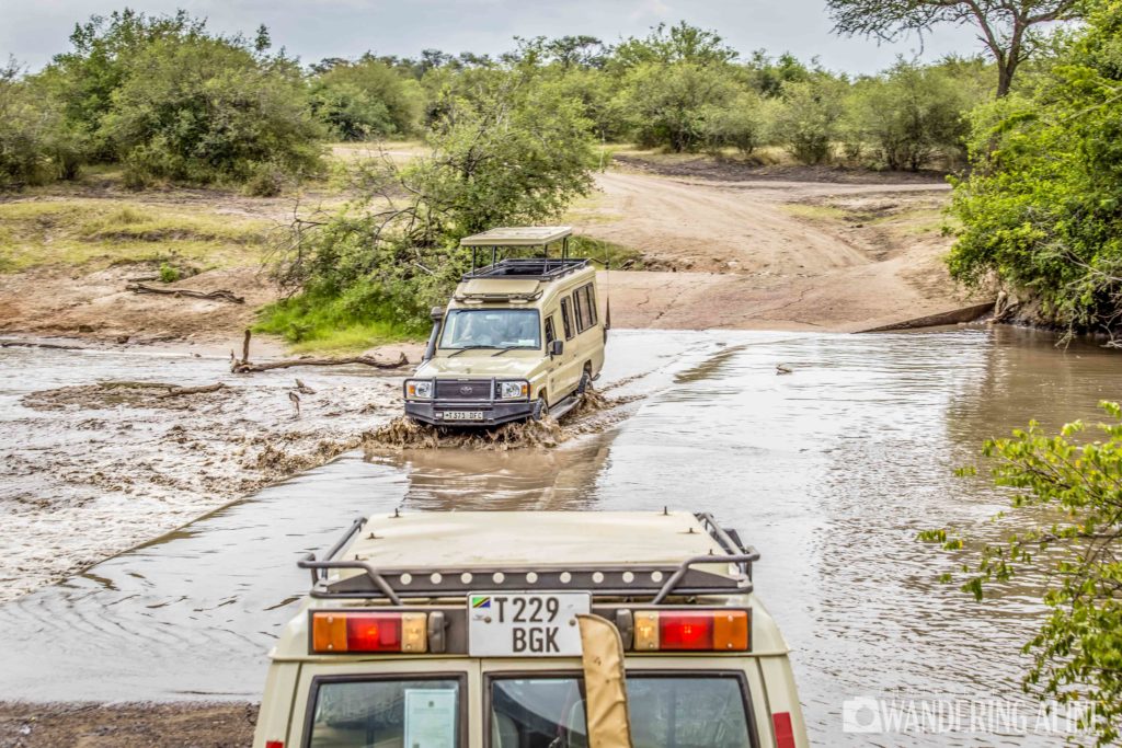 Safari en Afrique - 4X4