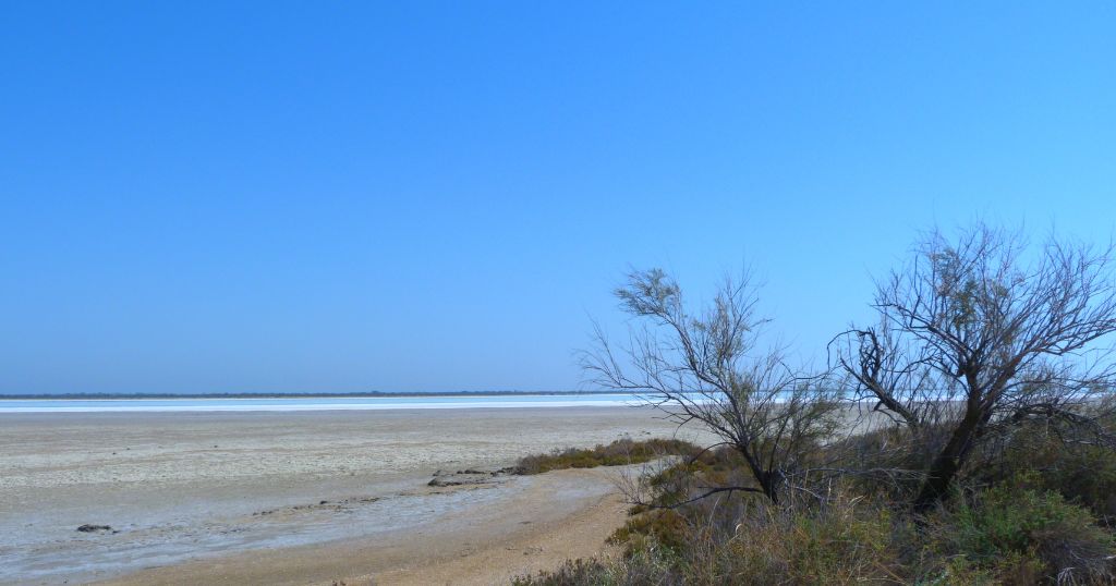 Étang du Fangassier, en Camargue