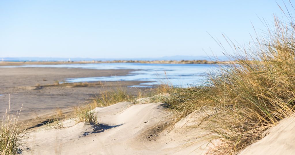 Plage de l’Espiguette, en Camargue