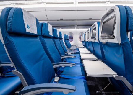french-bee-seats