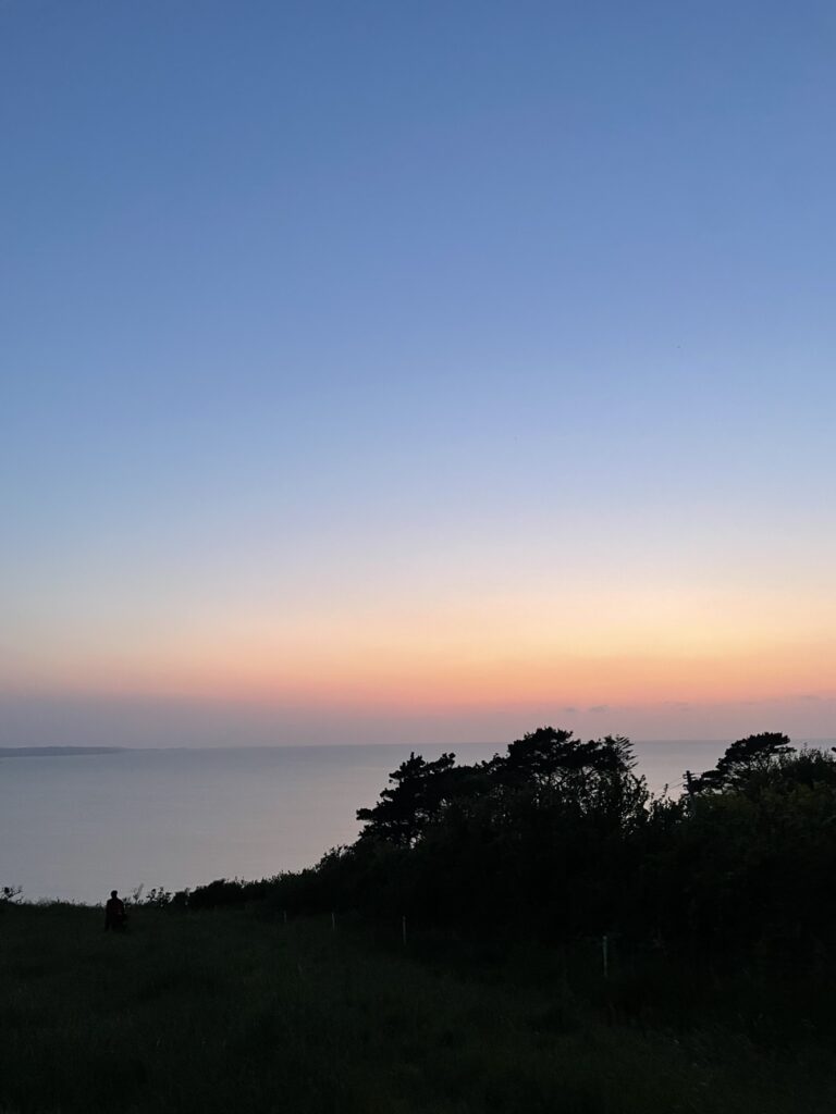 Ciel du soir dégradé de bleu à rose sur la mer calme, avec silhouettes d'arbres sombres.