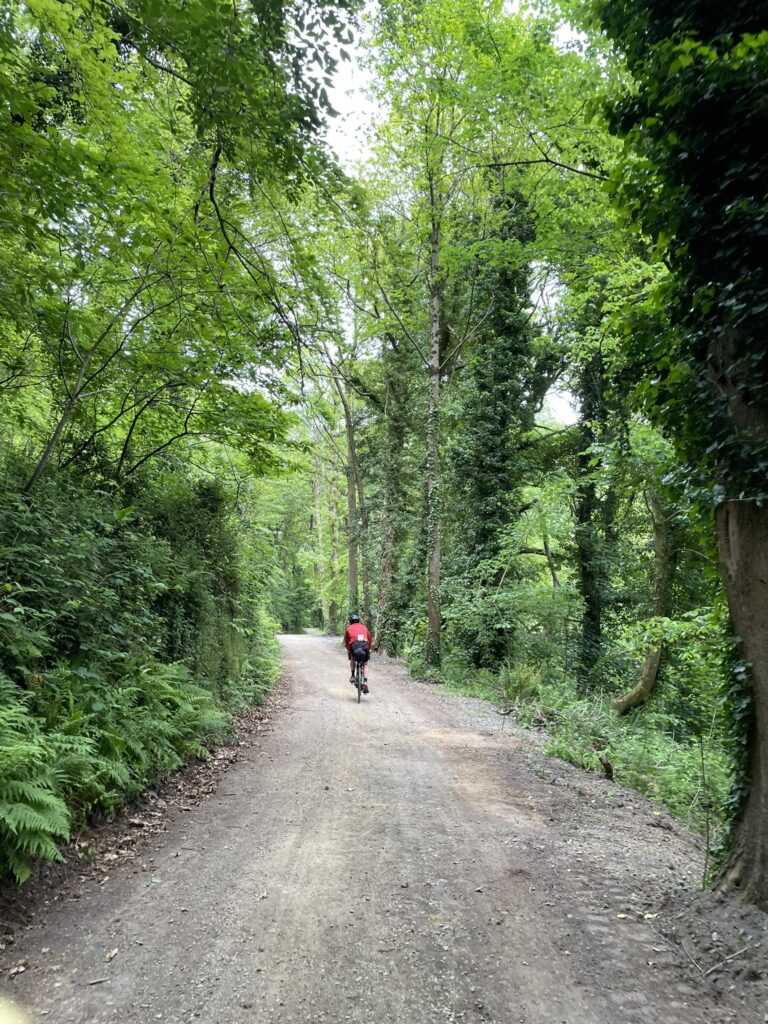 Cycliste en veste rouge pédalant sur un chemin forestier ombragé entouré d'arbres verts à Morlaix.