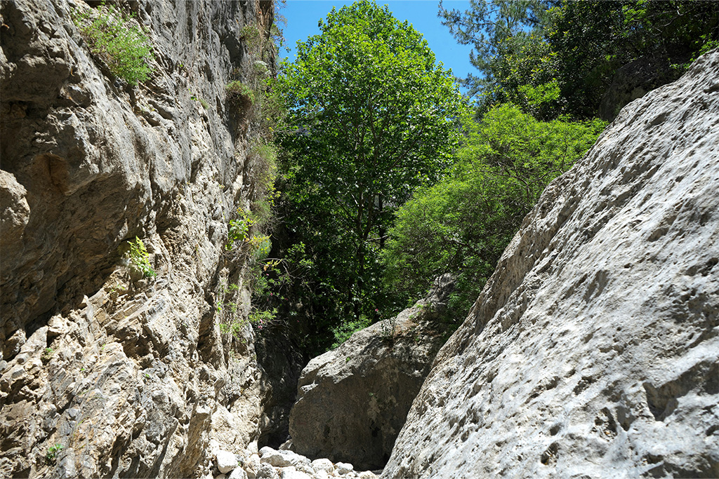Visiter la Grèce, Gorges de Samaria