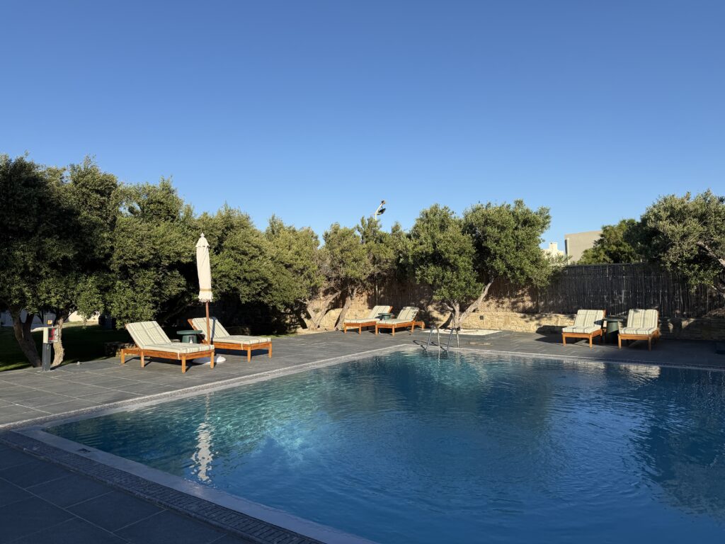 Piscine calme entourée d’oliviers et de transats en bois au Numo Ierapetra Beach Resort.