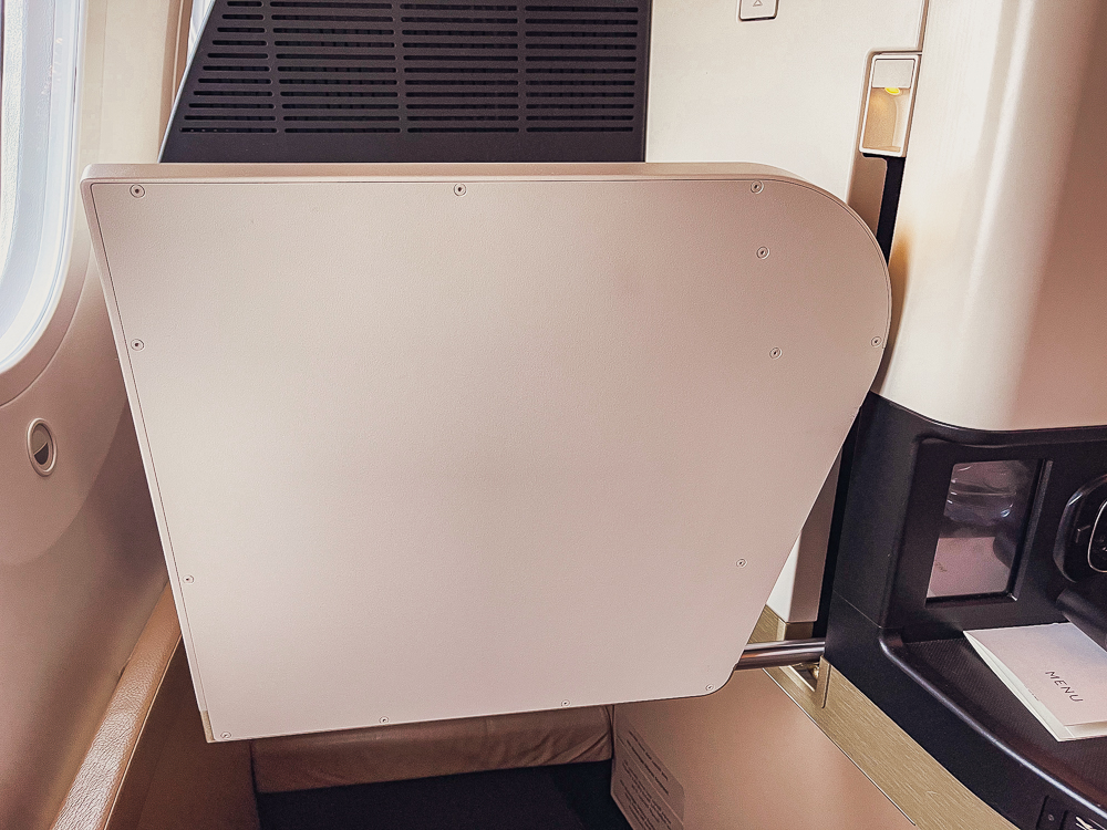 Etihad Business Class 43